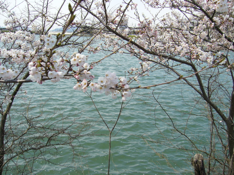 f:id:h100424:20120407130936j:plain f:id:h100424:20120407130936j:plain