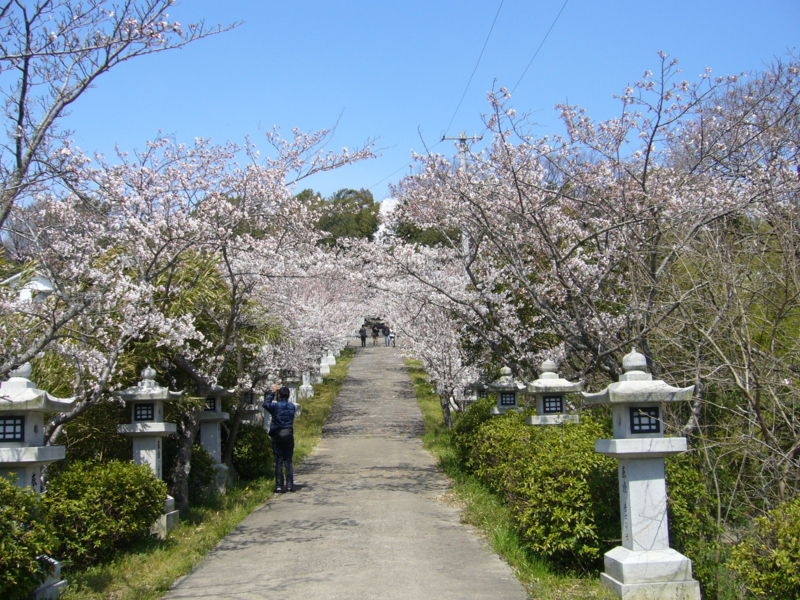 f:id:h100424:20120407131136j:plain f:id:h100424:20120407131136j:plain