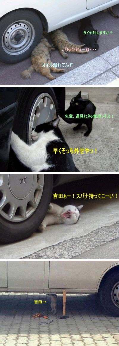 f:id:h13i32maru:20091014234309j:image