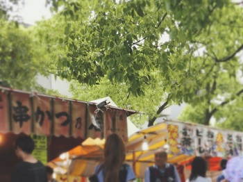 f:id:h280319:20160506203317j:plain f:id:h280319:20160506203317j:plain
