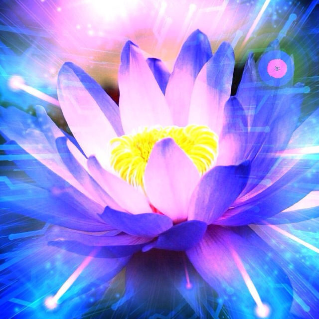 f:id:h_kouro:20130810102141j:plain f:id:h_kouro:20130810102141j:plain