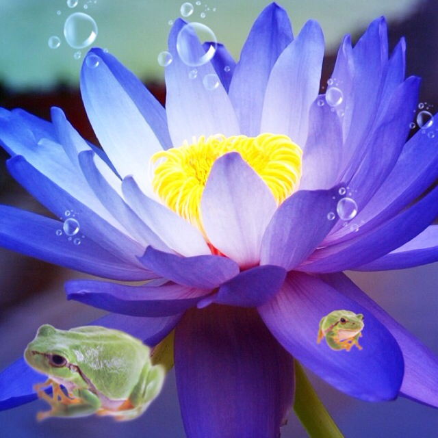 f:id:h_kouro:20130811145434j:plain f:id:h_kouro:20130811145434j:plain