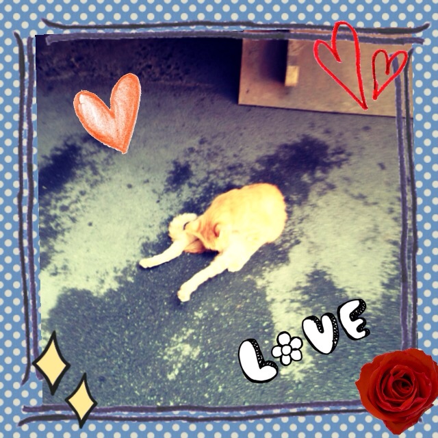 f:id:h_kouro:20131105131825j:plain f:id:h_kouro:20131105131825j:plain