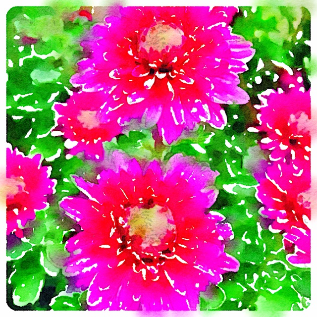 f:id:h_kouro:20140121101257j:plain f:id:h_kouro:20140121101257j:plain