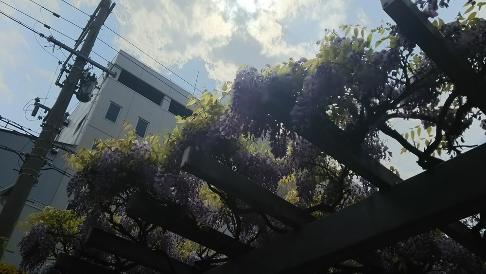 f:id:hachi82co:20150418205201j:plain f:id:hachi82co:20150418205201j:plain