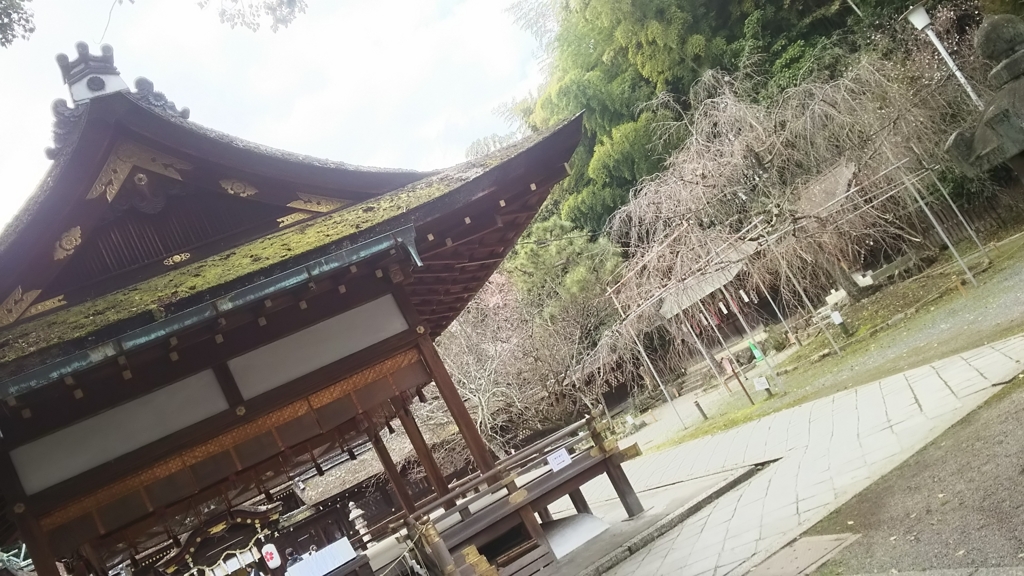 f:id:hachi82co:20160322082750j:plain f:id:hachi82co:20160322082750j:plain