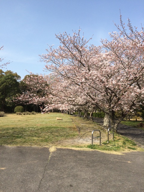 f:id:hachimannosatousa:20150330165209j:plain f:id:hachimannosatousa:20150330165209j:plain