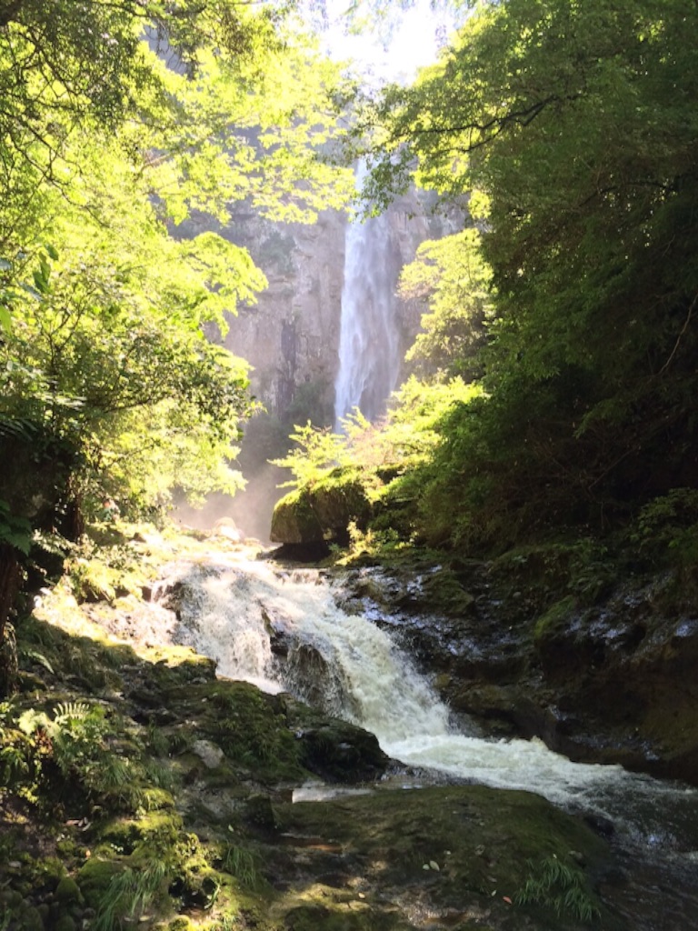 f:id:hachimannosatousa:20150715195401j:image f:id:hachimannosatousa:20150715195401j:image
