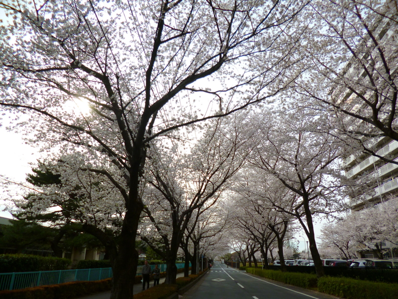 f:id:hachiyuu:20130326063739j:plain f:id:hachiyuu:20130326063739j:plain