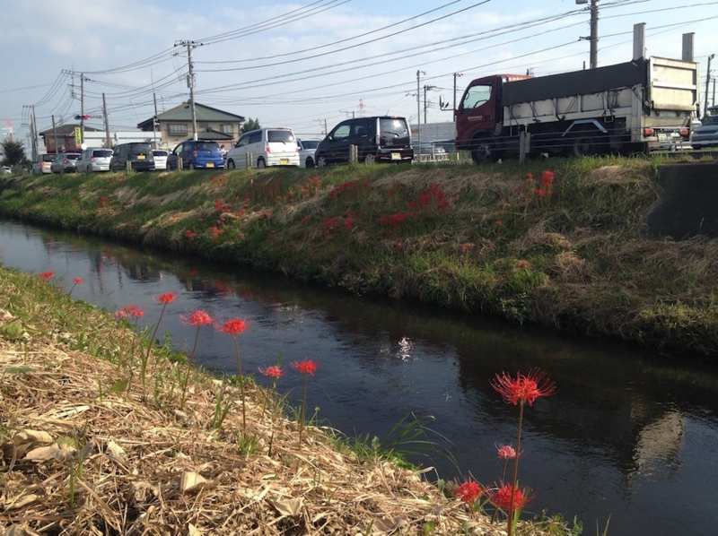 f:id:hadanon:20140929130135j:plain f:id:hadanon:20140929130135j:plain
