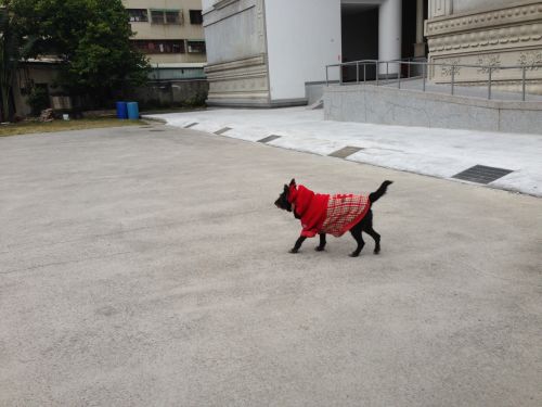 f:id:hagex:20131226154538j:plain f:id:hagex:20131226154538j:plain