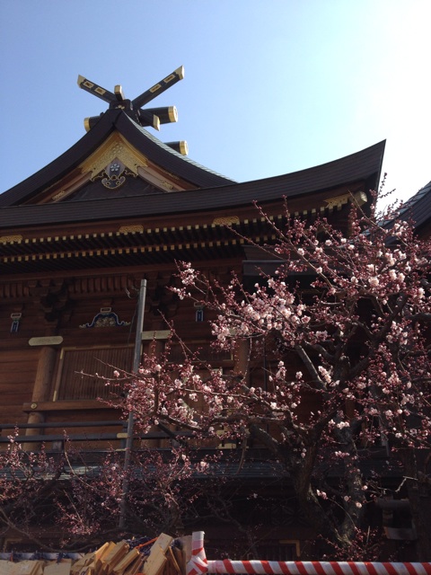 f:id:hagi98:20140314215032j:plain f:id:hagi98:20140314215032j:plain