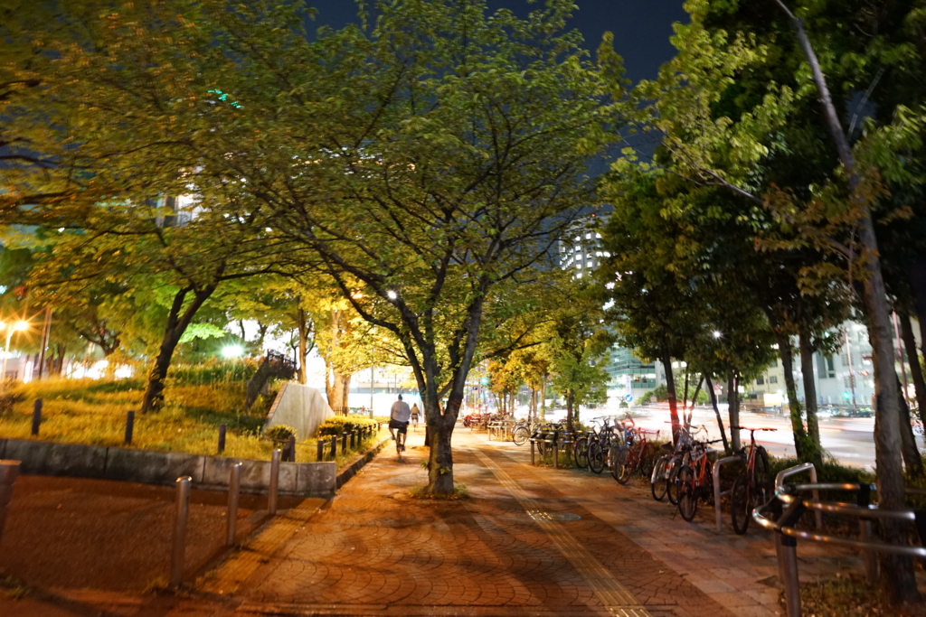 f:id:hajime21:20160427091616j:plain