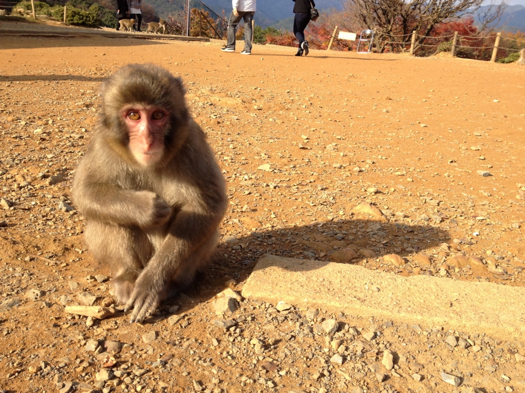 f:id:hakobe932:20111211133008j:plain