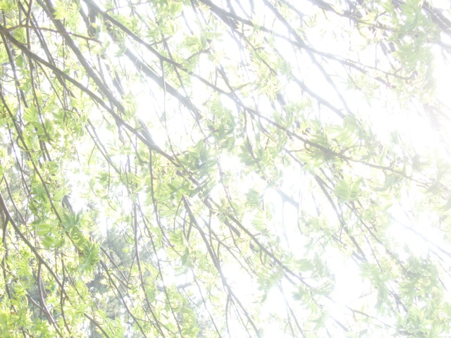 f:id:hakurow13notes:20140504113014j:plain f:id:hakurow13notes:20140504113014j:plain