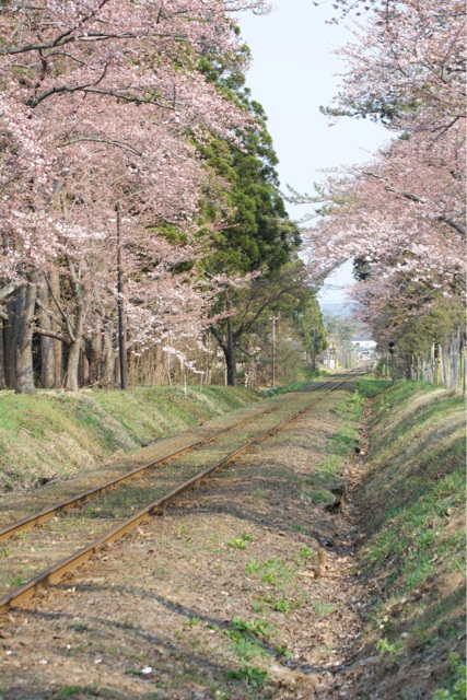 f:id:hakurow13notes:20140504113143j:plain f:id:hakurow13notes:20140504113143j:plain