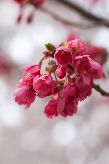 f:id:hakurow13notes:20140507151457j:plain f:id:hakurow13notes:20140507151457j:plain