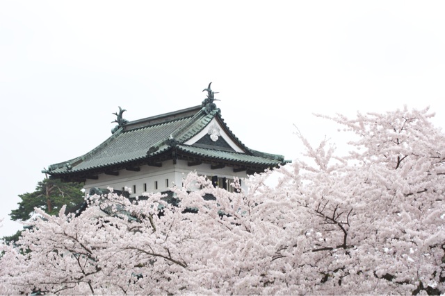 f:id:hakurow13notes:20140507151537j:plain f:id:hakurow13notes:20140507151537j:plain