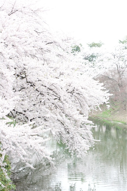 f:id:hakurow13notes:20140507151626j:plain f:id:hakurow13notes:20140507151626j:plain