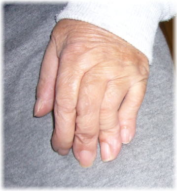 f:id:halmather:20070130072618j:image f:id:halmather:20070130072618j:image
