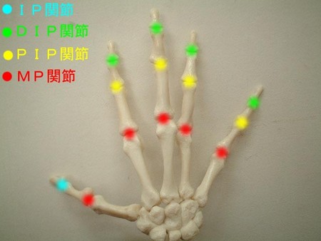 f:id:halmather:20070130083220j:image f:id:halmather:20070130083220j:image