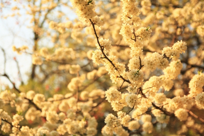 f:id:ham29:20160510231702j:plain