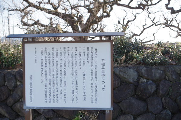 f:id:hamajiu:20160207130757j:plain f:id:hamajiu:20160207130757j:plain
