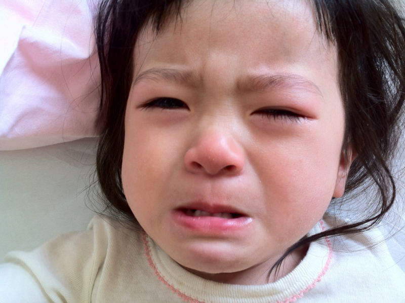 f:id:hamaneko13:20140530103255j:plain f:id:hamaneko13:20140530103255j:plain