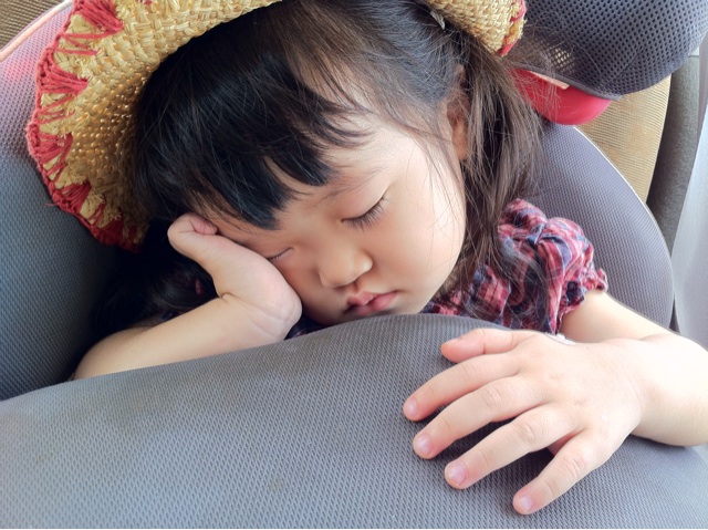f:id:hamaneko13:20140613220117j:plain f:id:hamaneko13:20140613220117j:plain