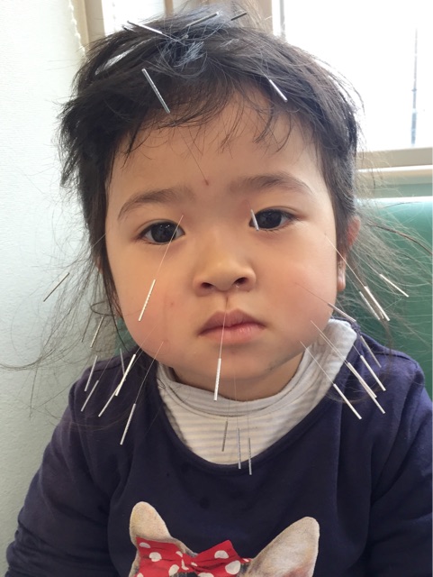 f:id:hamaneko13:20150402000703j:plain f:id:hamaneko13:20150402000703j:plain