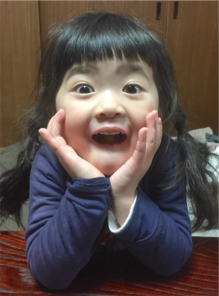 f:id:hamaneko13:20160119230245j:image f:id:hamaneko13:20160119230245j:image