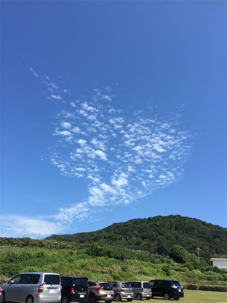 f:id:hamaneko13:20160522235138j:image f:id:hamaneko13:20160522235138j:image