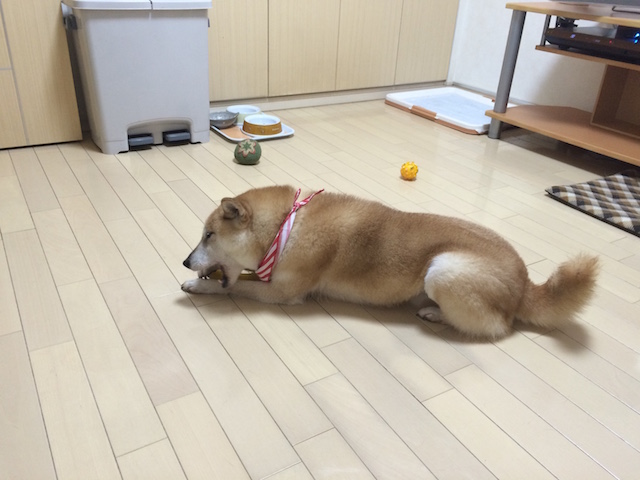 f:id:hamayatwo:20141123084655j:plain