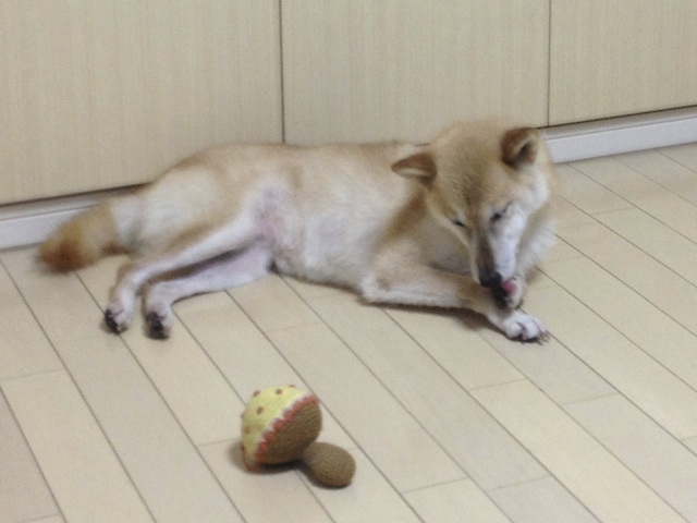 f:id:hamayatwo:20150517220954j:plain