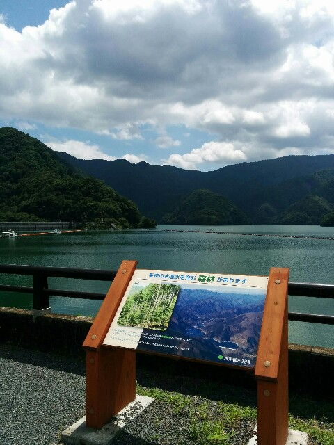 f:id:hammock01:20150816060444j:image f:id:hammock01:20150816060444j:image
