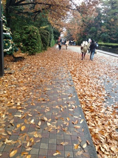 f:id:hamtarosan:20141202000902j:plain f:id:hamtarosan:20141202000902j:plain