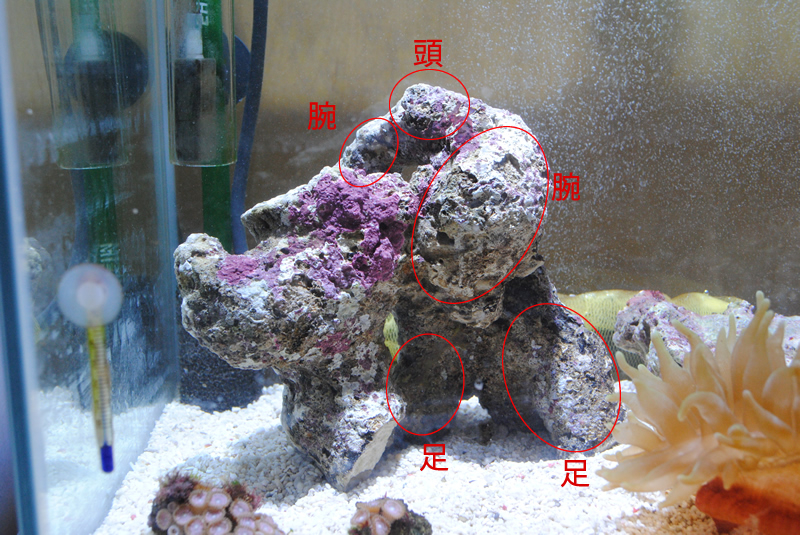 f:id:hana-smile:20121016212210j:plain f:id:hana-smile:20121016212210j:plain