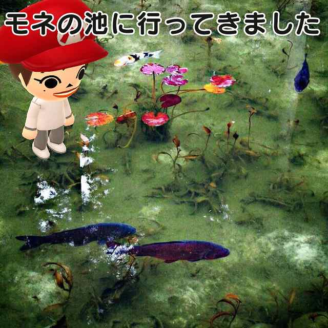 f:id:hana3hana:20160321223724j:plain f:id:hana3hana:20160321223724j:plain