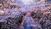 f:id:hana9640:20150401175849j:plain f:id:hana9640:20150401175849j:plain