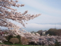 http://cdn-ak.f.st-hatena.com/images/fotolife/h/hana_an/20180503/20180503204510.jpg