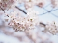 http://cdn-ak.f.st-hatena.com/images/fotolife/h/hana_an/20180503/20180503204516.jpg