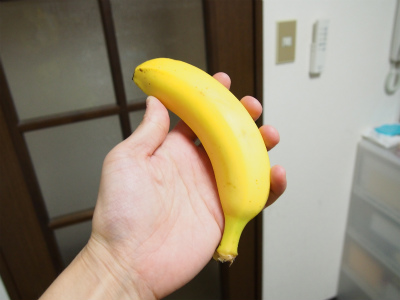 f:id:hanadekameganet:20150621002616j:plain