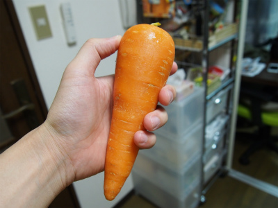 f:id:hanadekameganet:20150621002640j:plain