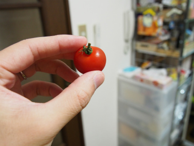 f:id:hanadekameganet:20150621002708j:plain