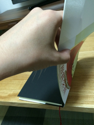 f:id:hanadekameganet:20150813011845j:plain