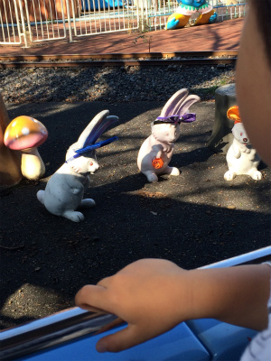 f:id:hanadekameganet:20151018230435j:plain