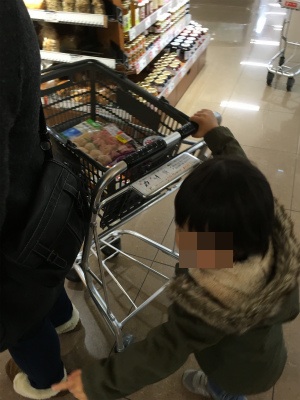 f:id:hanadekameganet:20151213000501j:plain