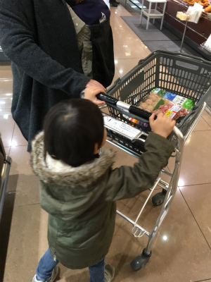 f:id:hanadekameganet:20151213000545j:plain