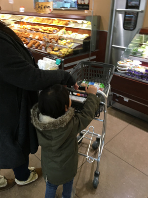 f:id:hanadekameganet:20151213000756j:plain