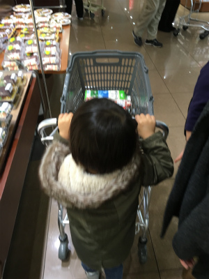 f:id:hanadekameganet:20151213000959j:plain